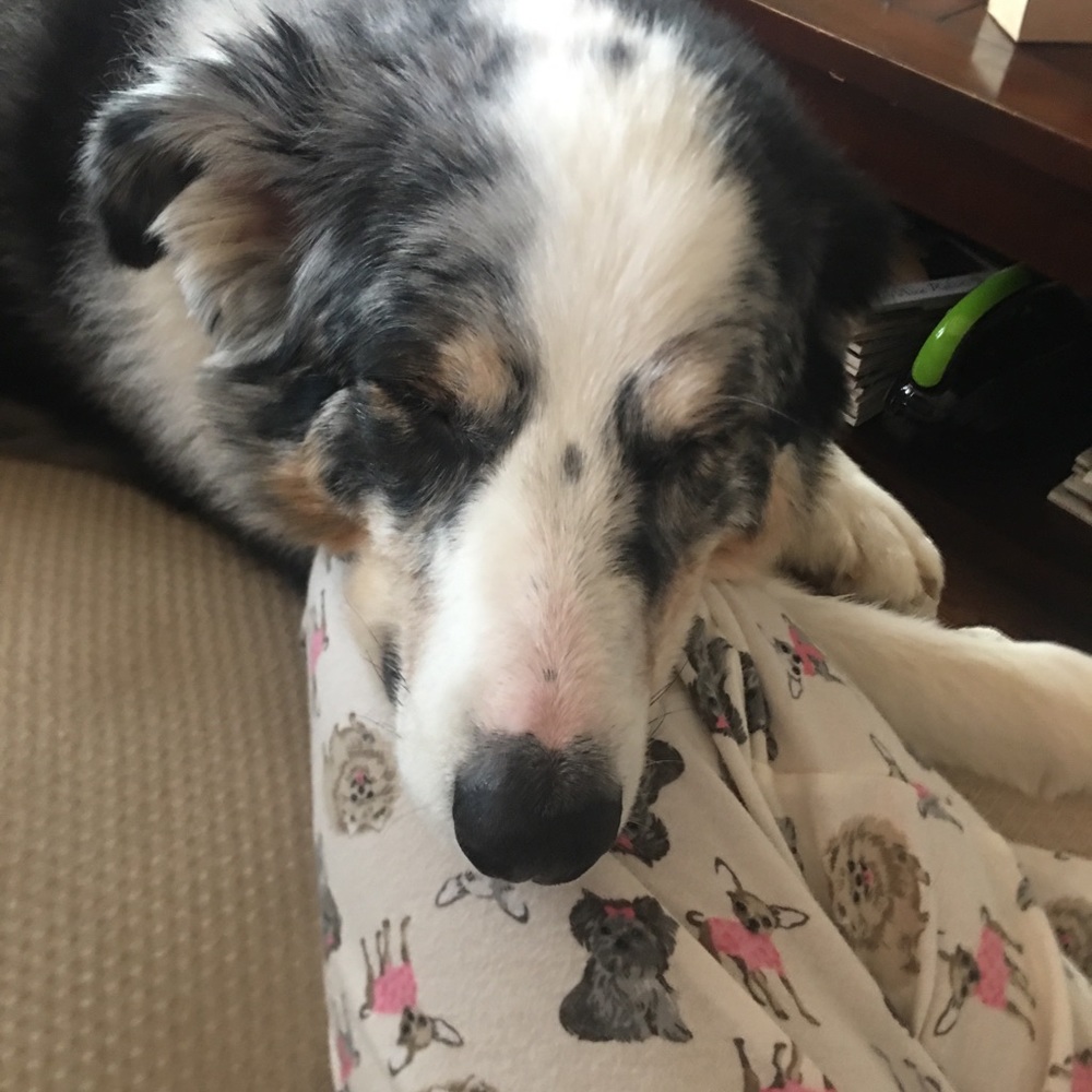 Meet your Posher, Mica